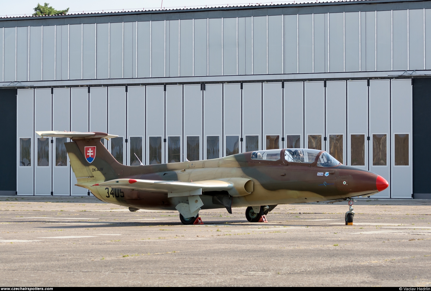 Blue Sky Service &ndash; Aero L-29 Delfin OK-AJW