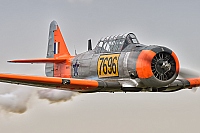 private – North American AT-6D Harvard IIA N696RE / 7696