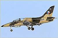 Czech - Air Force – Aero L-39ZA Albatros 5019