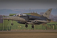 Czech - Air Force &ndash; Aero L-159A Alca 6065