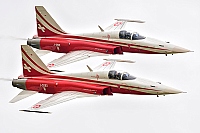 Switzerland - Air Force – Northrop F-5E Tiger II J-3090