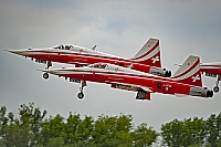Switzerland - Air Force – Northrop F-5E Tiger II J-3089