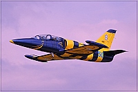 Lithuania - Air Force – Aero L-39C Albatros 50