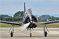 private – North American AT-28D Trojan N313WB / WB-313