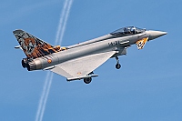 Spain - Air Force – Eurofighter EF-2000 Typhoon S 14-31