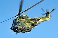 Romania - Air Force – IAR Brasov IAR-330L SOCAT 31