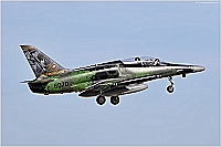 Czech - Air Force – Aero L-159A Alca 6070