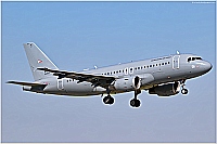 Hungary - Air Force – Airbus A319-112 604