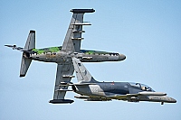 Czech - Air Force &ndash; Aero L-159A Alca 6065