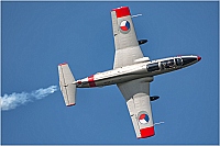 private &ndash; Aero L-29 Delfin OM-SLK