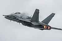 Finland - Air Force – McDonnell Douglas F/A-18C Hornet HN-412