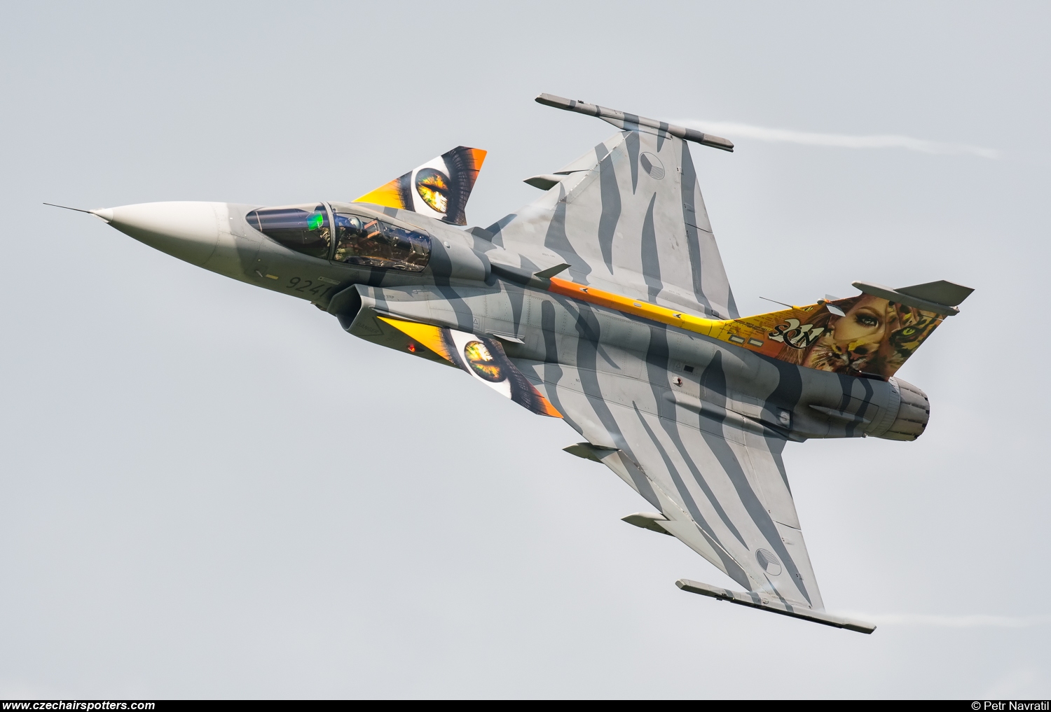 Czech - Air Force – Saab JAS39C Gripen 9241