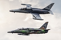 Czech - Air Force &ndash; Aero L-159A Alca 6048