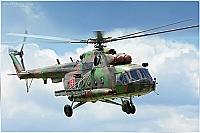 Slovakia - Air Force – Mil Mi-17 Hip 0847
