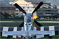 private – North American P-51D Mustang D-FPSI/WD-U
