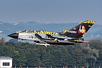 Germany - Air Force &ndash; Panavia  Tornado ECR 46+38