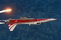 Switzerland - Air Force – Northrop F-5E Tiger II J-3088