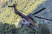 Switzerland - Air Force – Aerospatiale Aerospatiale AS-332M1 Super Puma T-319