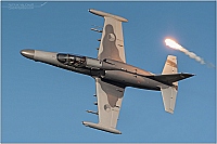 Czech - Air Force – Aero L-159A Alca 6054