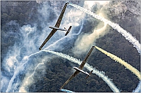 The Flying Bulls – Let L-13 Blanik OE-0758