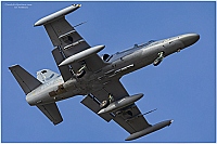 Czech - Air Force – Aero L-159T2 ALCA 6038
