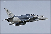Czech - Air Force – Aero L-159T2 ALCA 6031