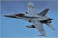Spain - Air Force – McDonnell Douglas EF-18A Hornet C15-83 / 46-11