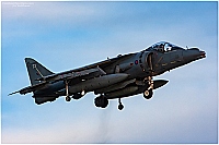 UK - Air Force – British Aerospace Harrier GR9 ZG502