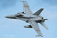 Spain - Air Force &ndash; McDonnell Douglas EF-18A Hornet C15-83 / 46-11